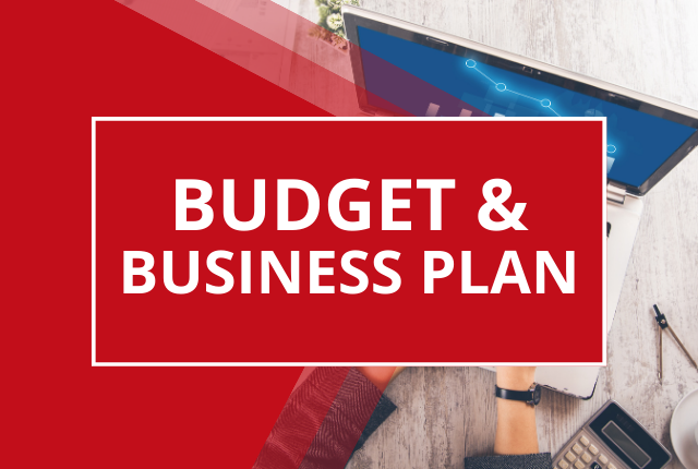 Budget e Business Plan