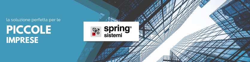img-sring-piccole-imprese-2024.png
