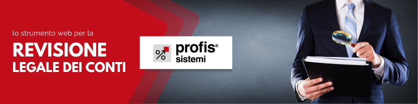 profis-revisione-2024-banner.png